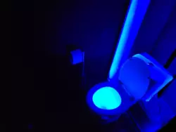   , ,  , 14, .   12