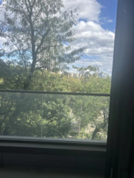 ��������� �������� ��-� �������������, 43, ���, �������������, �. ��������� ���� 19