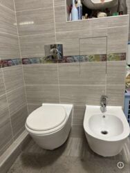 ��������� �������� ���. ����� ���ʼ������, 1, ���, ����������� ���� 8