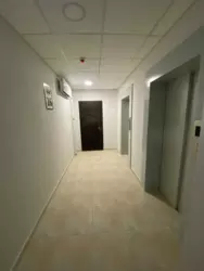   , , .  , 24, .   17