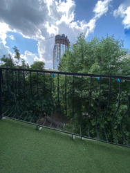 Продається квартира Дмитра Дорошенка (Чигорина), 49, Київ, Печерський, м. Палац Україна фото 17 Продається квартира Дмитра Дорошенка (Чигорина), 49, Київ, Печерський, м. Палац Україна фото 17