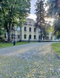   , ', ѳ쒿 , 1/5  13