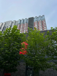 ��������� �������� ����� �������, 1�, ���, ������������� ���� 4