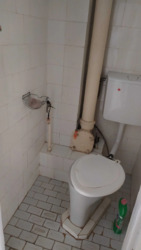   , ',   (), 28  11