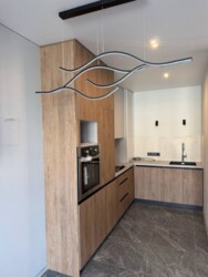 ��������� �������� �����������, 1�, ���, ����������� ���� 14