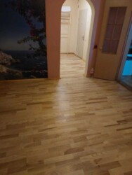 ��������� �������� �����������, 1�, ���, ���������� ���� 6