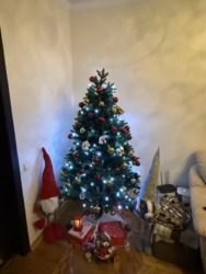 ��������� �������� ����� ������, ���, ����������� ���� 1