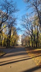 ��������� �������� �����������, 25, ���, ������������� ���� 2