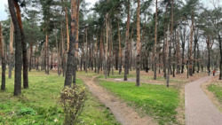 Продається квартира Дарницький бул. 17, Київ, Дніпровський фото 12 Продається квартира Дарницький бул. 17, Київ, Дніпровський фото 12