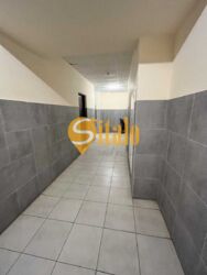   , ,  '',  137., .   8