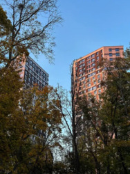 ��������� �������� �����������, 25, ���, ������������� ���� 5