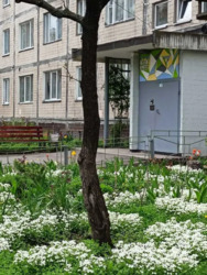 ��������� �������� ����������� ��������, 39�, ���, ����������� ���� 9