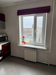 ��������� �������� �������� ��������, 17, ���, ������������� ���� 12