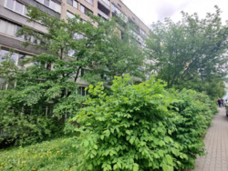 Продається квартира Київ, Печерський, Тютюнника 22/26 фото 19 Продається квартира Київ, Печерський, Тютюнника 22/26 фото 19