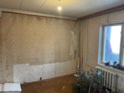 ��������� �������� �����������, 28�, ���, ����������, �. ������� ���� 13