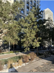 ��������� �������� ���������, 6, ���, ���������� ���� 16