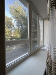 ������ 3-���� �������� ����� ���� 3