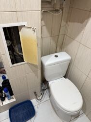 2-���� �-� ����� ���� 8