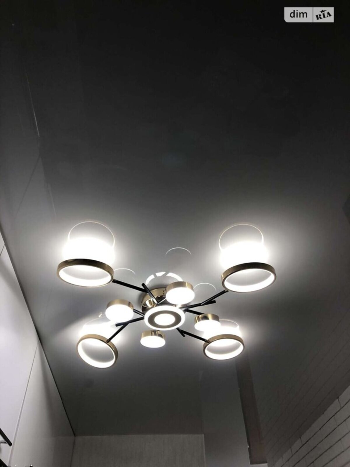 ��������� �������� ³�������, ³�����, ����������, ��������, ������ ������, 11 ���� 1