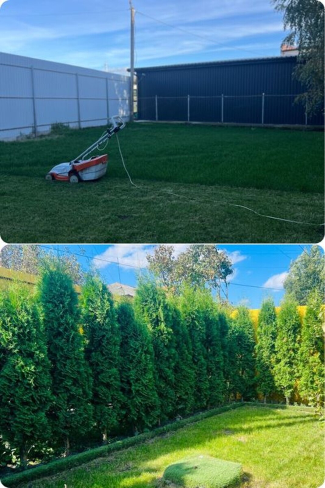 ��������� �������� ³�������, ³����� ���� 1