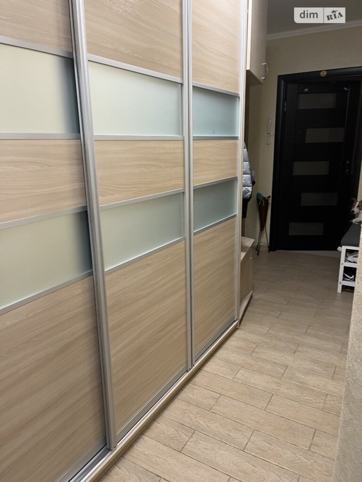 ��������� �������� ³�������, ³�����, �������������, ������, ����� ���������, 137� ���� 1