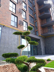 ��������� �������� ³�������, ³�����, ����������, ��������, ��������, 125� ���� 5