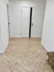 ��������� �������� ³�������, ³�����, ����������, ���������� ���� 17