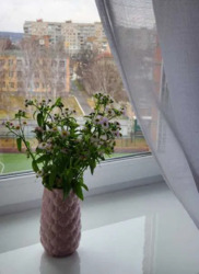 ��������� �������� ³�������, ³�����, �������������, �������, ������� ���� 6