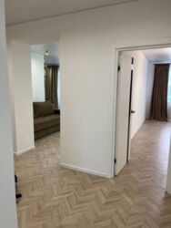 ��������� �������� ³�������, ³�����, ����������, ���������� ���� 19