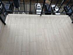 ��������� �������� ³�������, ³�����, ����������, ������� ���� ���� 8