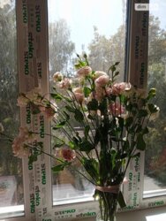   ³, ³, , , . , 14  2