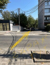 ��������� �������� ³�����, ³������� ���� 8