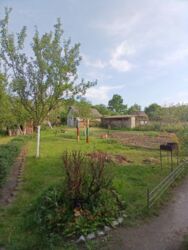 ������ ���� ����������� ����� ���� 5