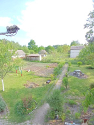 ������ ���� ����������� ����� ���� 16