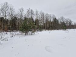 ��������� ������� �. ��������. ���� 19