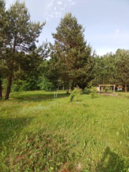 ������ ���� ����������� ����� ���� 3