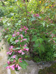 ��������� �������� ���. ����������, �������, �����������, ������� ���� 13