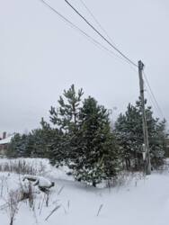 ��������� ������� �. ��������. ���� 12