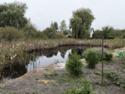 ��������� ������� � ������������ �����!!!. ���� 4