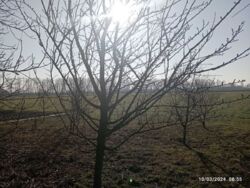 ��������� ������� � �. ѳ�����. ���� 10