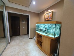  3-  , . . г  3