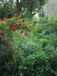 ��������� �������� ���. ����������, �������, �����������, ������� ���� 14