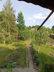 ������ ���� ����������� ����� ���� 17