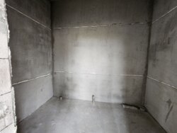   1-   ,   11