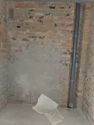 ��������� �������� ������ ѳ����� �������� 8�, �� ���� ѳ�, ������������, �����������, ������ ���� 6