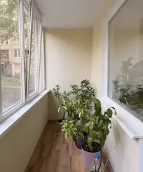 ��������� �������� ������ ��������, ������������, �����������, ϳ������-�������� ���� 4