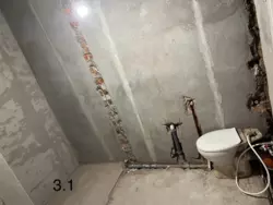 ��������� �������� ������ ������ 10/1�, ������������, �����������, �������� ���� 12