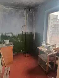 ��������� �������� ������ ���������, 26, ������������, �����������, ����� ���� 3