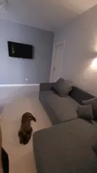 ��������� �������� ������ ������, �� ����������, ������������, �����������, �������� ���� 3