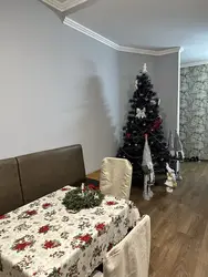 ��������� �������� ����������, 17/1, ������������, �����������, ������ ���� 2